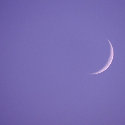 Maya wijsheid - Elvira van Rijn