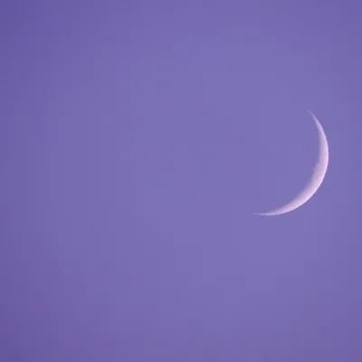 Maya wijsheid - Elvira van Rijn