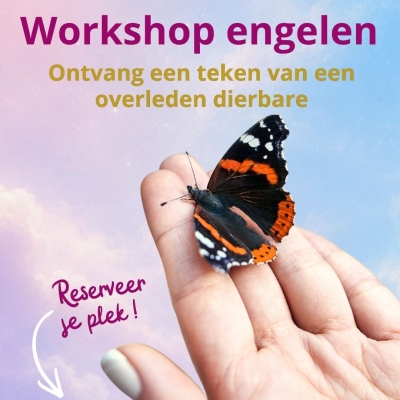 Evenwichtigleven