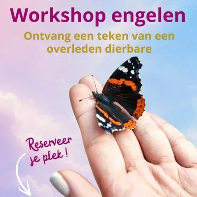 Evenwichtigleven